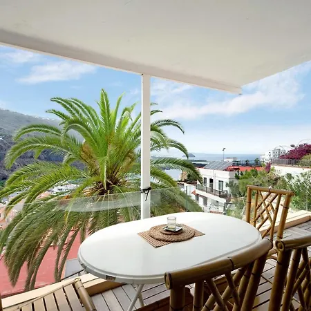 Piso Loft Tropical Doa Apartment
